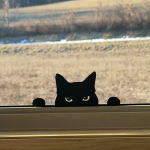 Siyah Kedi Silüeti Dekor – Filamiko 3D baskı