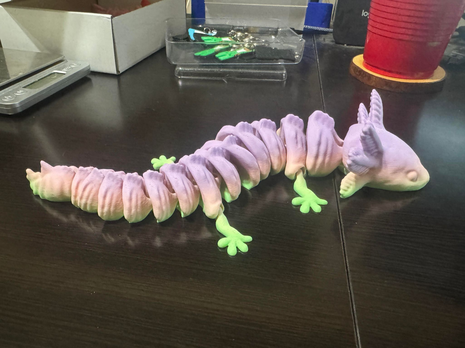 Eklemli Aksolotl (Güçlendirilmiş) – Filamiko 3D baskı (2)