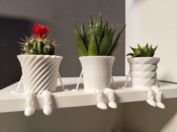Mini Kaktüs Ailesi Saksı – Filamiko 3D baskı (3)