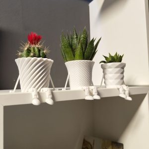 Mini Kaktüs Ailesi Saksı – Filamiko 3D baskı (2)