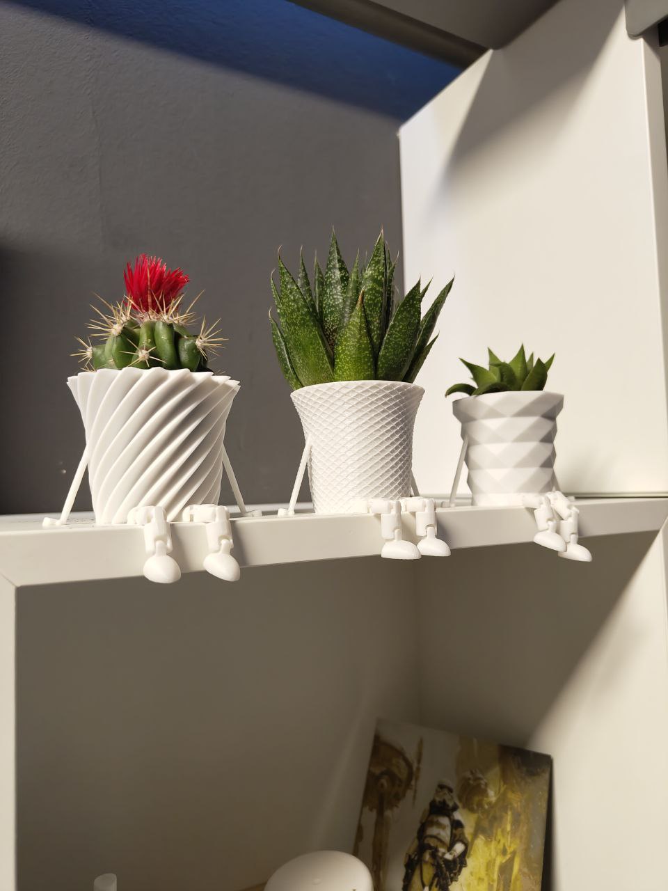 Mini Kaktüs Ailesi Saksı – Filamiko 3D baskı (2)