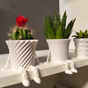 Mini Kaktüs Ailesi Saksı – Filamiko 3D baskı